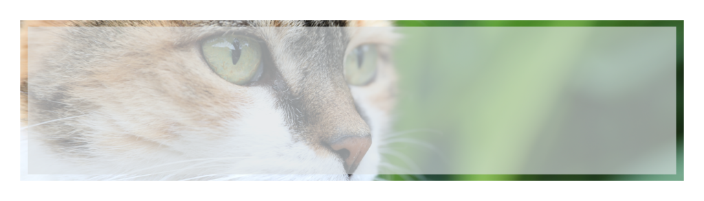 1920Wx550H SubTheme Banner